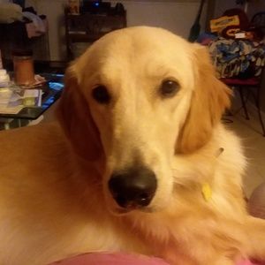 Meet your Posher, Judy